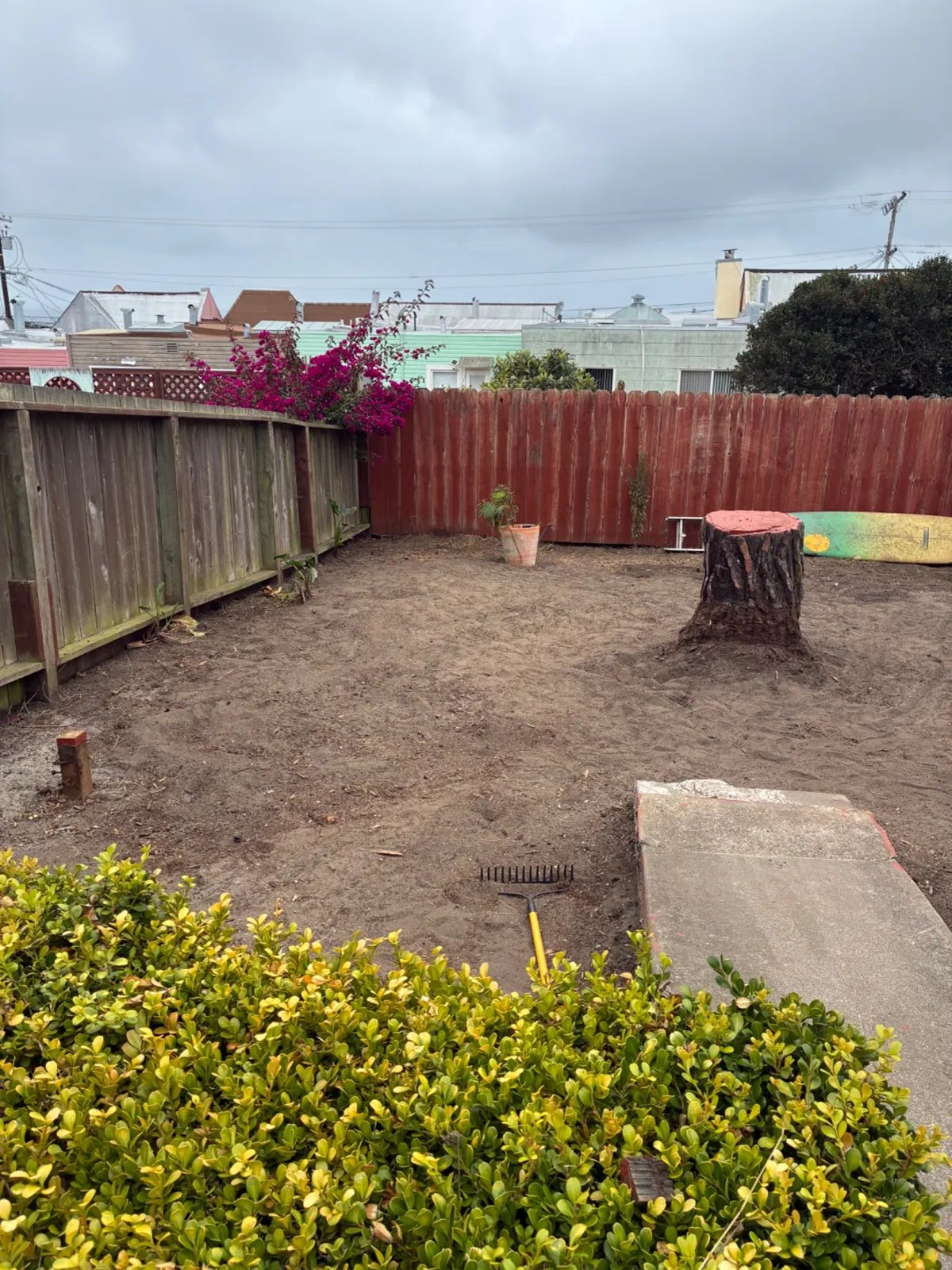 Cleared backyard after debris removal